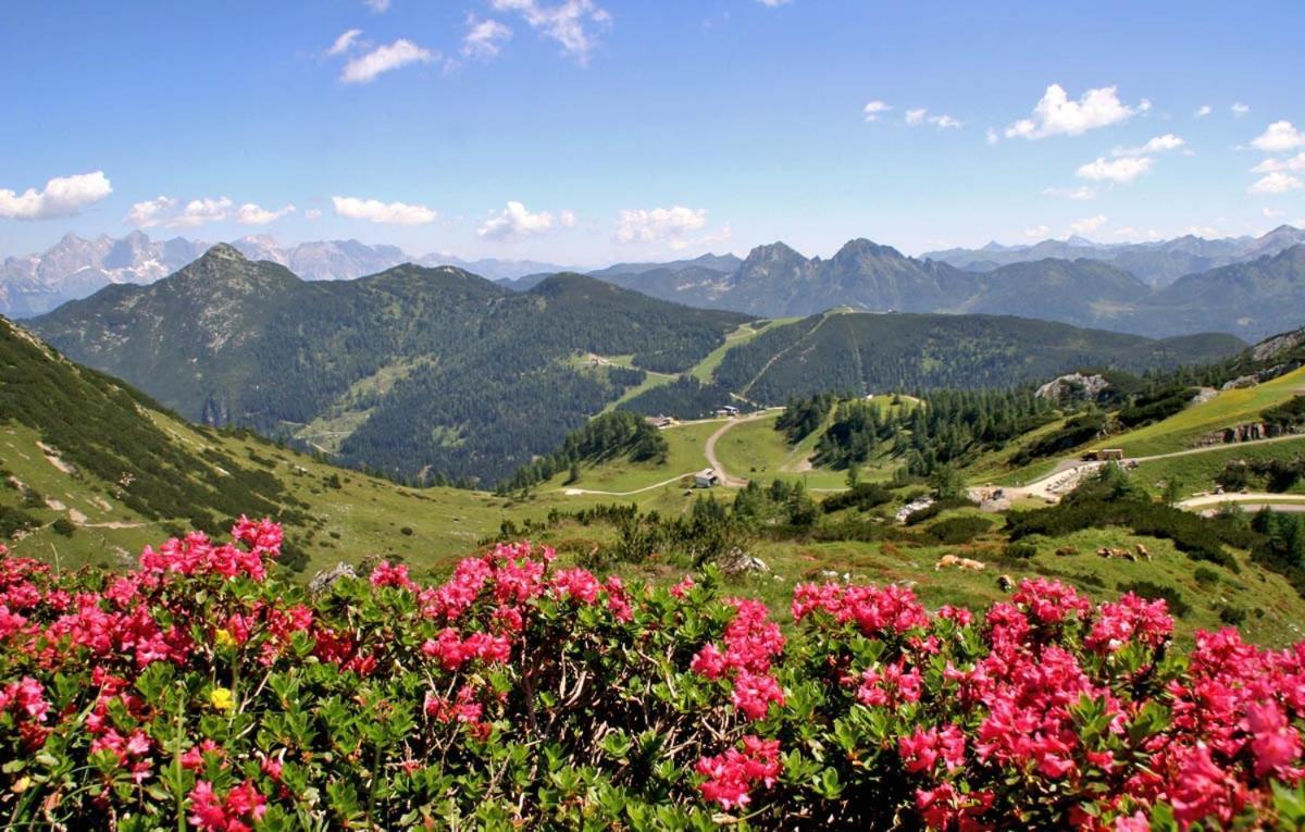 Vorderwiesgut Altenmarkt im Pongau Esterno foto