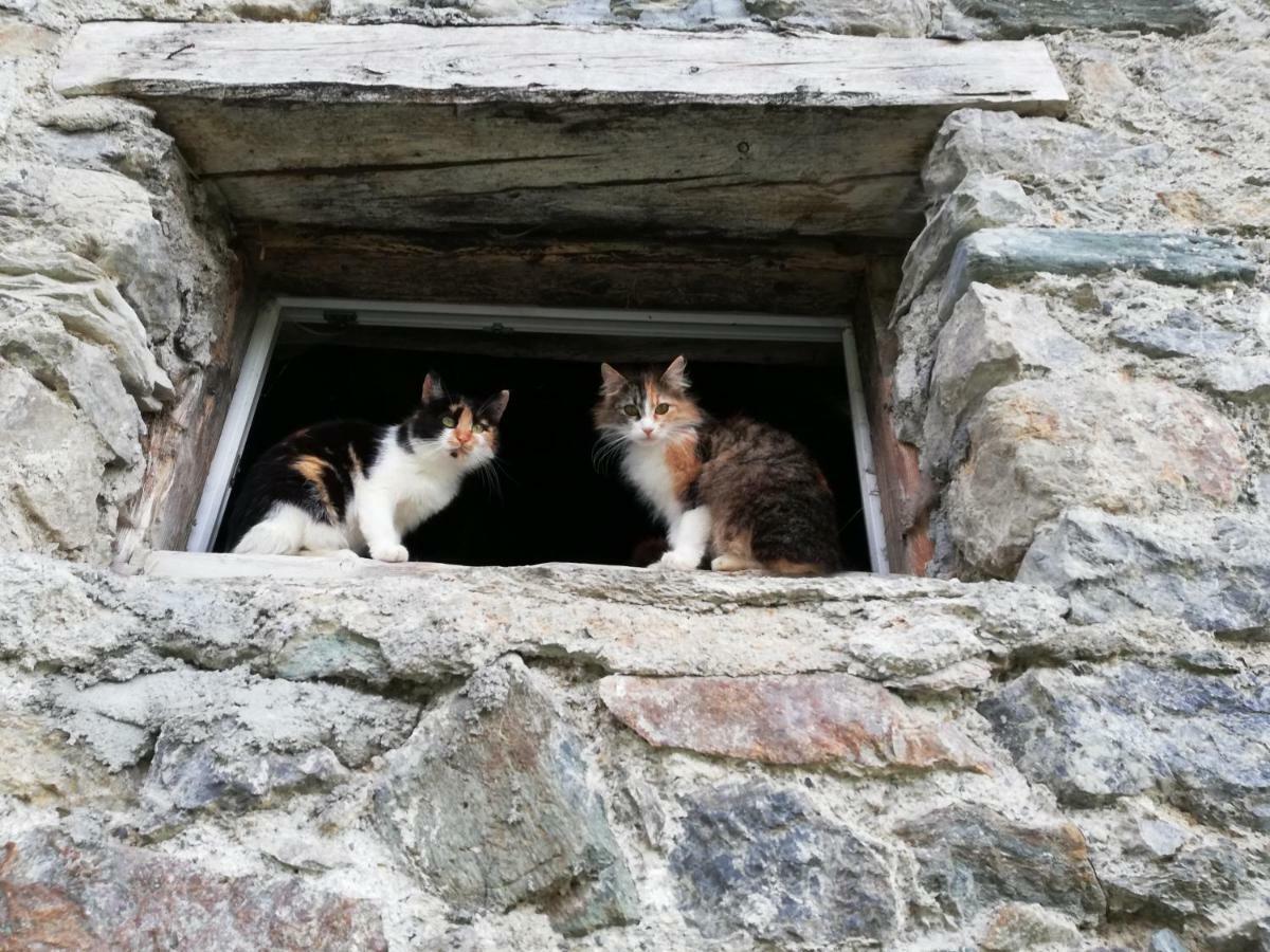 Vorderwiesgut Altenmarkt im Pongau Esterno foto